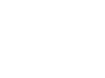 Visa Secure Logo White