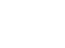 Skrill Logo White